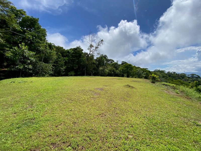 0 bed Lot/Land For Sale in Dominical,  - 1