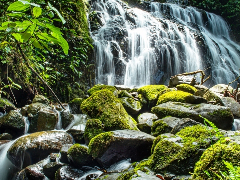 3 bed Farm And Ranch For Sale in San Isidro-Perez Zeledon, 