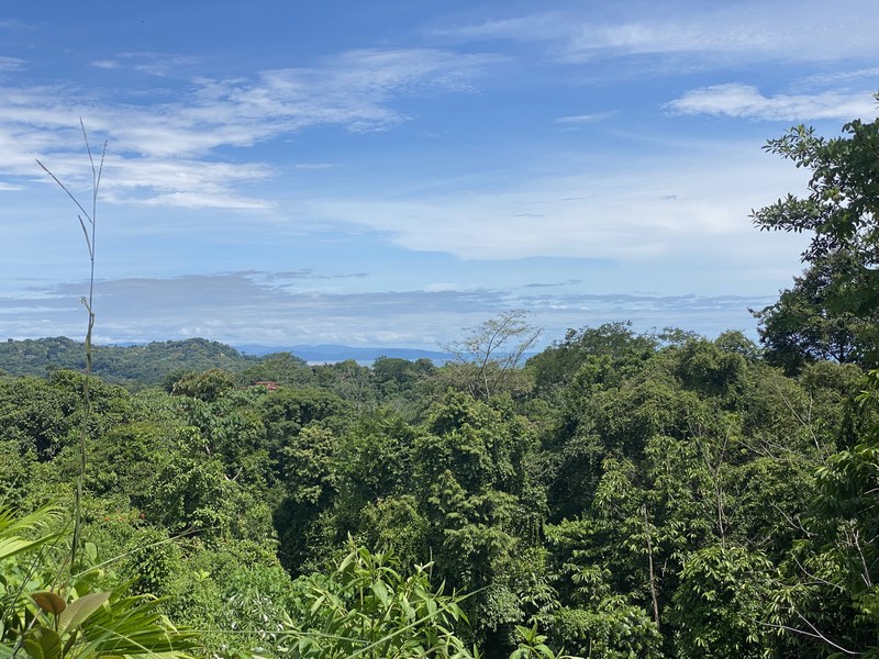 0 bed Lot/Land For Sale in Ojochal,  - 1