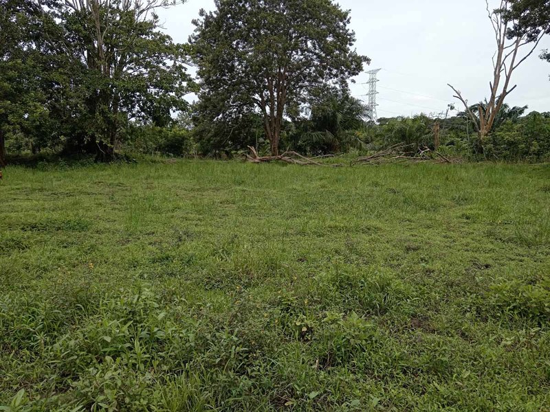 0 bed Lot/Land For Sale in Dominical, 