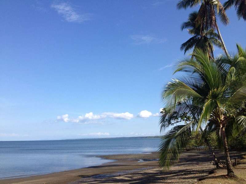 0 bed Lot/Land For Sale in Osa Peninsula,  - 1