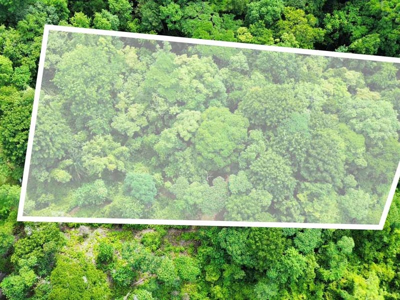 0 bed Lot/Land For Sale in Ojochal,  - 1