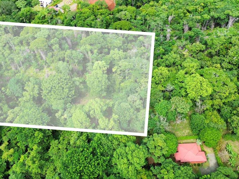 0 bed Lot/Land For Sale in Ojochal,  - 1