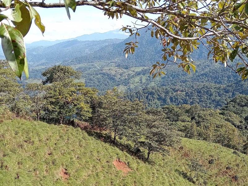 0 bed Lot/Land For Sale in Dominical,  - 1