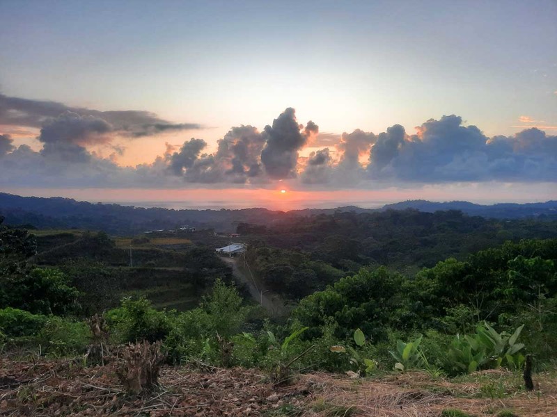 0 bed Lot/Land For Sale in Ojochal,  - 1