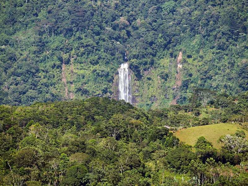 0 bed Lot/Land For Sale in Dominical, 