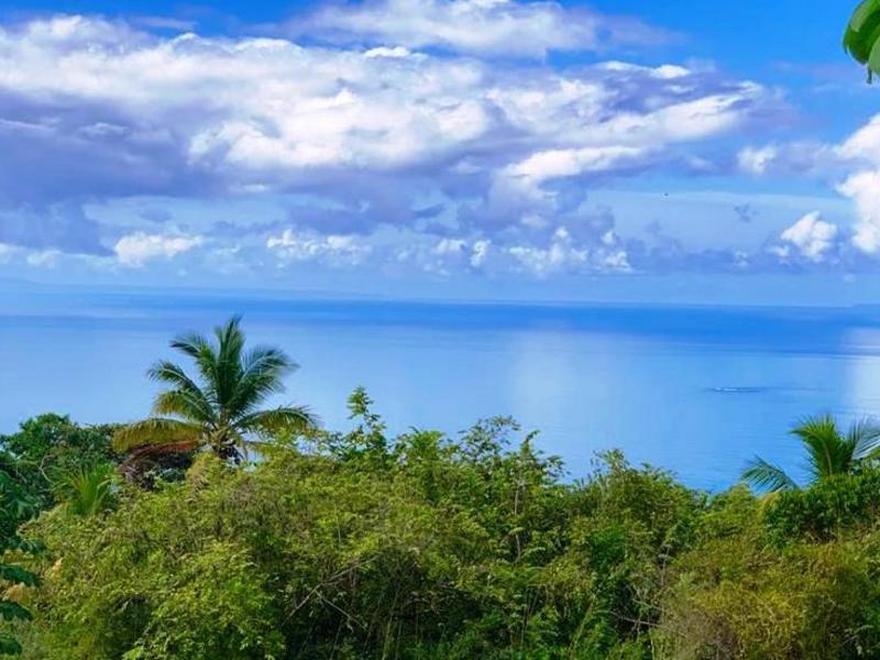 0 bed Lot/Land For Sale in Dominical,  - 1