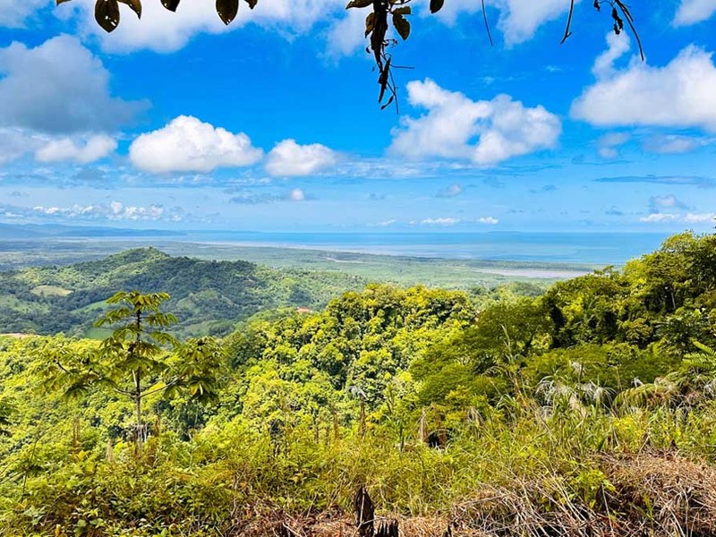 0 bed Lot/Land For Sale in Ojochal,  - 1