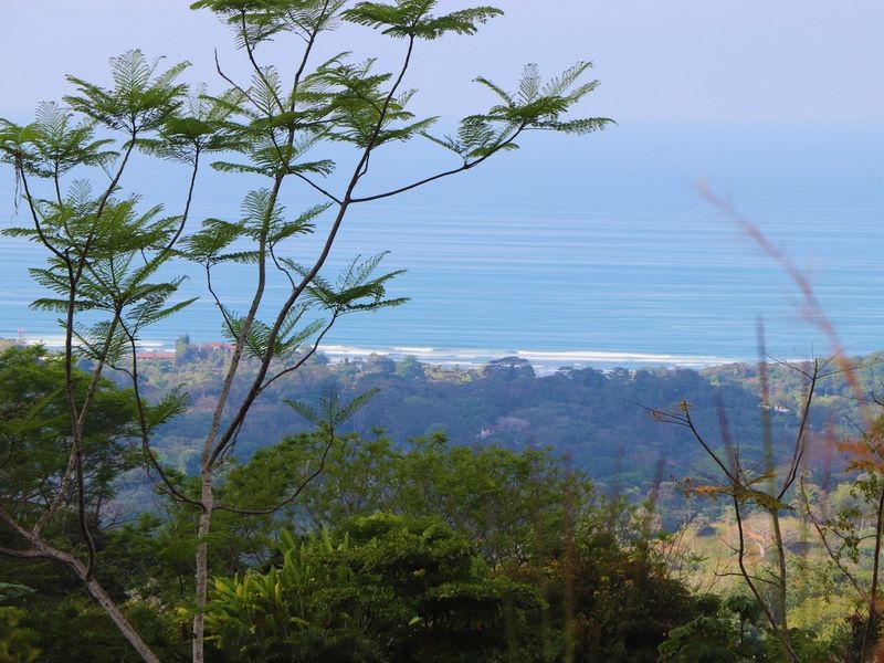 0 bed Lot/Land For Sale in Ojochal,  - 1