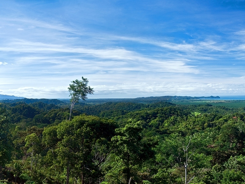 0 bed Lot/Land For Sale in Manuel Antonio,  - 1