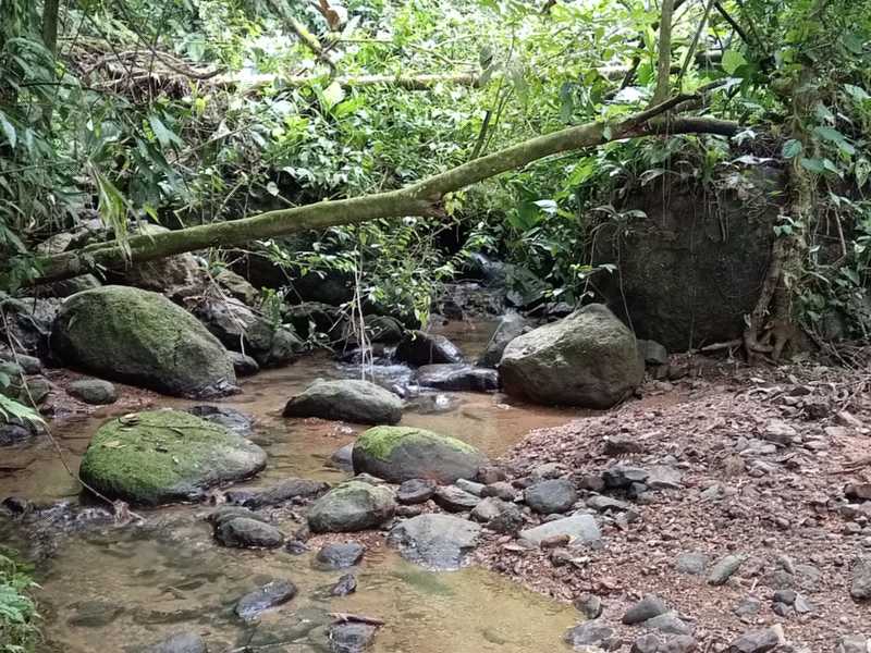 0 bed Lot/Land For Sale in Dominical,  - 1