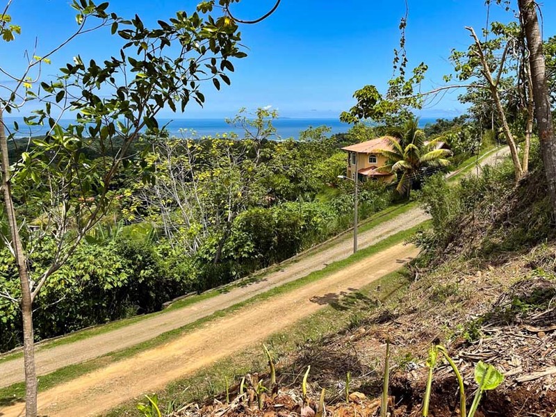 0 bed Lot/Land For Sale in Ojochal,  - 1