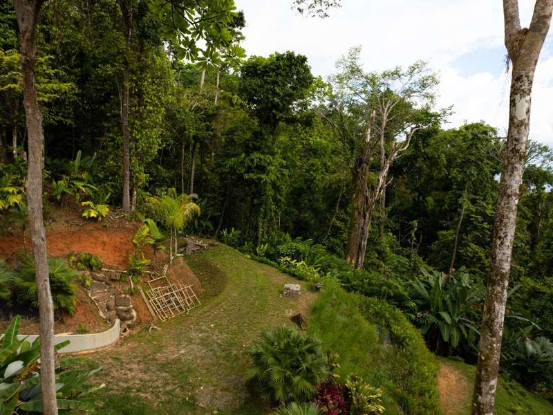0 bed Lot/Land For Sale in Dominical,  - 1