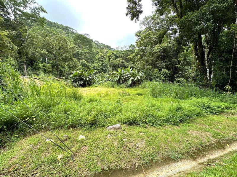 0 bed Lot/Land For Sale in Ojochal,  - 1