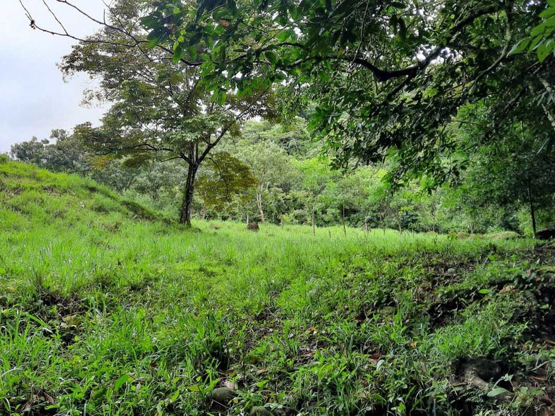 0 bed Lot/Land For Sale in Ojochal,  - 1