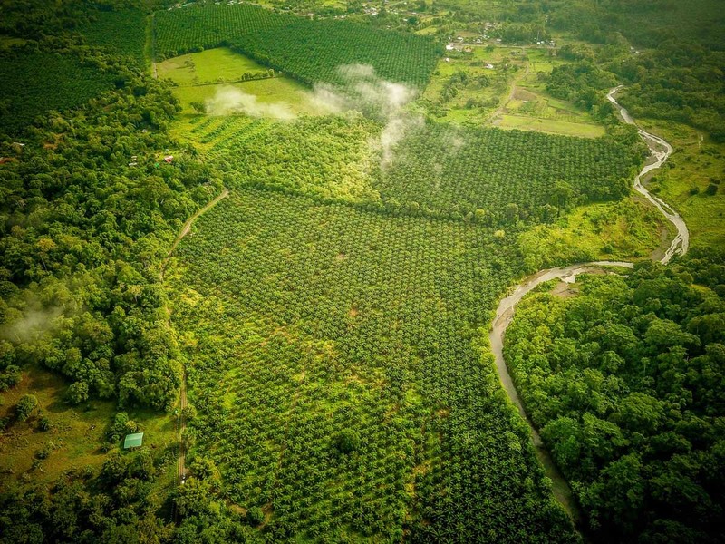 0 bed Farm And Ranch For Sale in Osa Peninsula, 