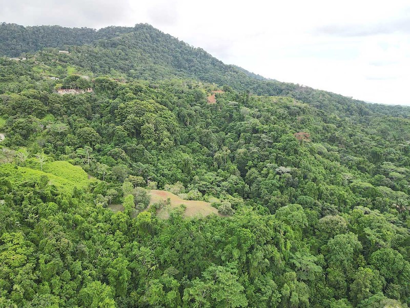 0 bed Lot/Land For Sale in Dominical,  - 1