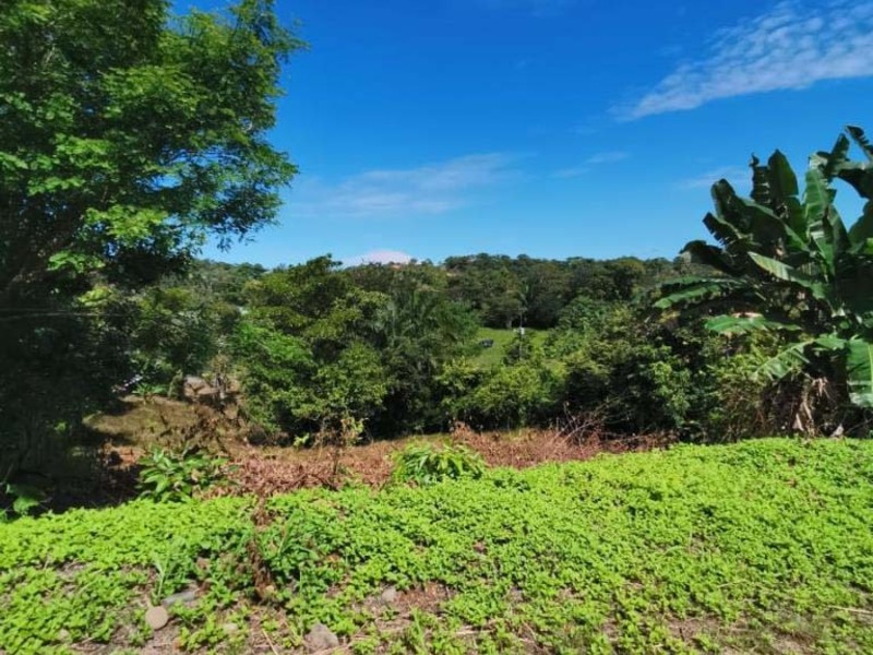 0 bed Lot/Land For Sale in Quepos,  - 1
