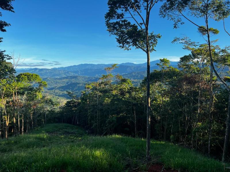 0 bed Lot/Land For Sale in Dominical, 