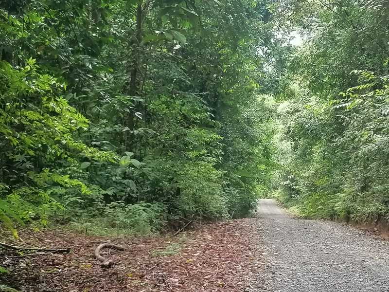 0 bed Lot/Land For Sale in Osa Peninsula, 