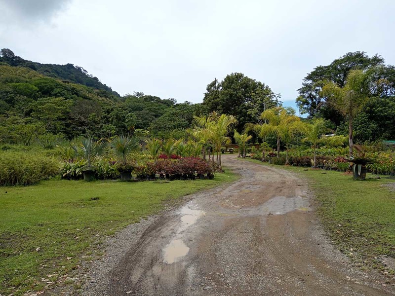 1 bed Lot/Land For Sale in Dominical,  - 1