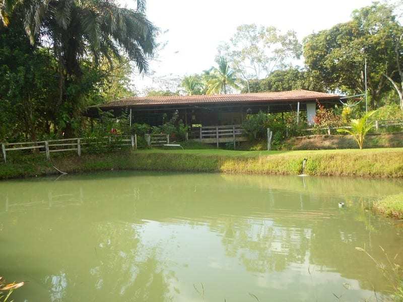 3 bed Lot/Land For Sale in Quepos,  - 1
