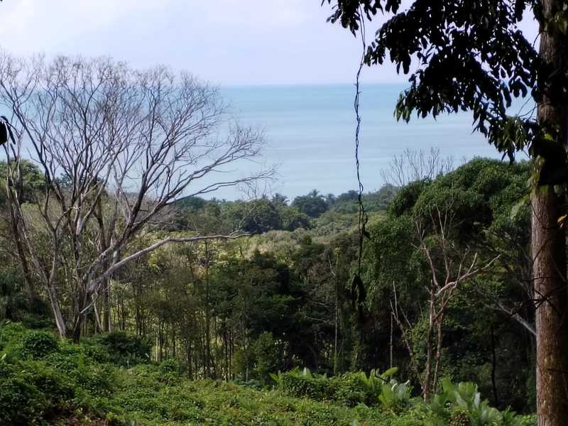 0 bed Lot/Land For Sale in , 