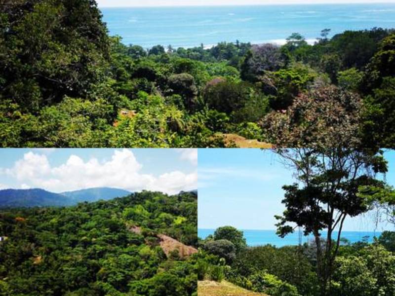 0 bed Lot/Land For Sale in ,  - 1