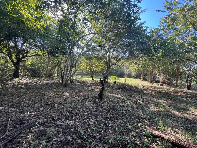 0 bed Lot/Land For Sale in , 