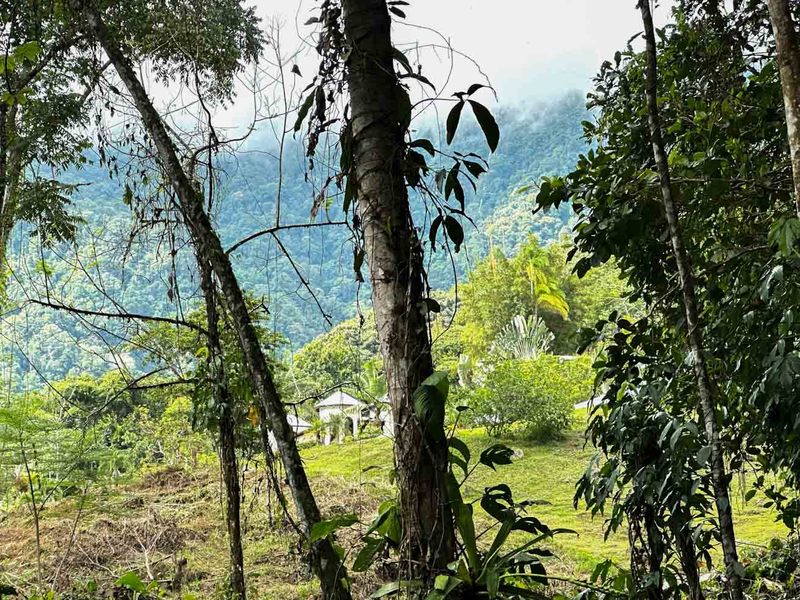 0 bed Lot/Land For Sale in , 