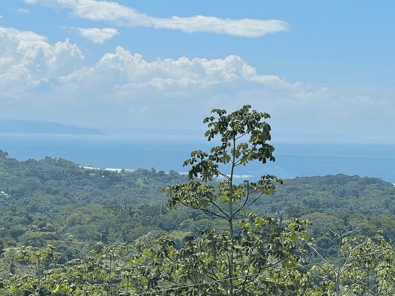 0 bed Lot/Land For Sale in , 