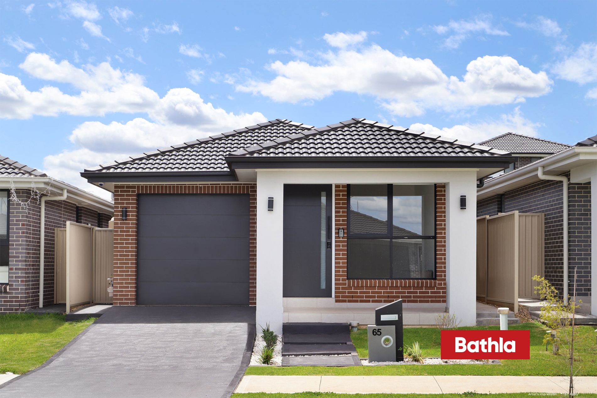 65 Ficus - Front.jpg