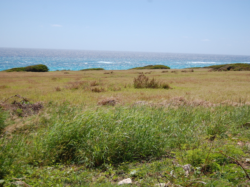 0 bed Land For Sale in Green Point, 