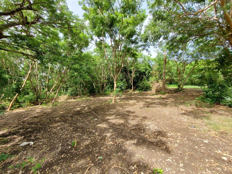 0 bed Land For Sale in Salters, 