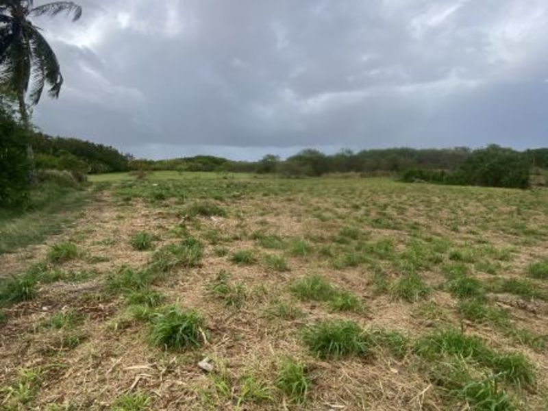 0 bed Land For Sale in Kirtons, 