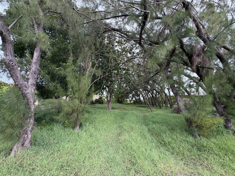 0 bed Land For Sale in Durants, 
