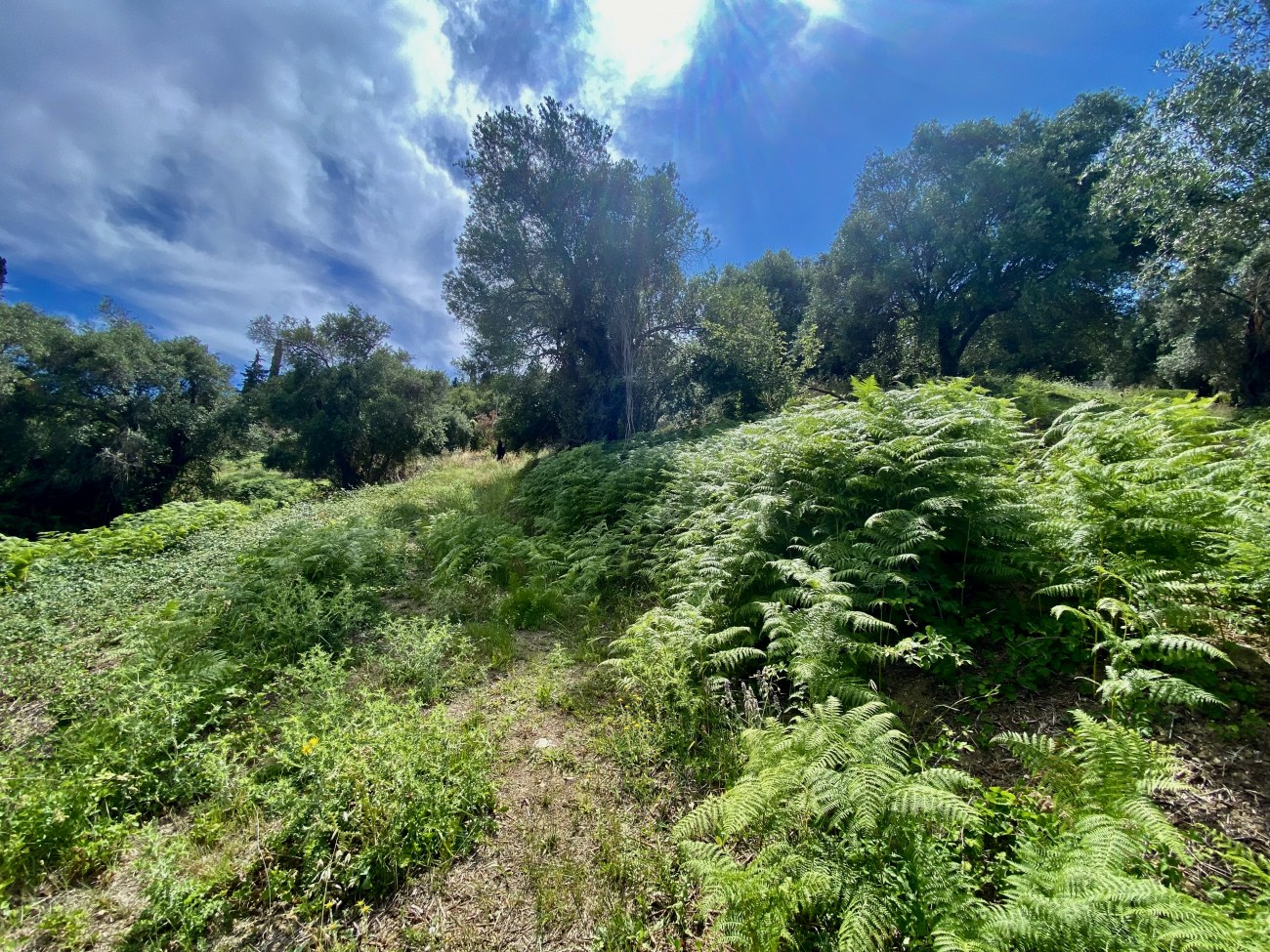 Listing photograph 2 of 3 of the land in Pelekas, published by Roula Rouva Real Estate.