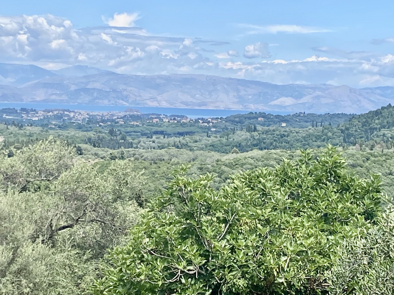 Listing photograph 3 of 3 of the land in Pelekas, published by Roula Rouva Real Estate.