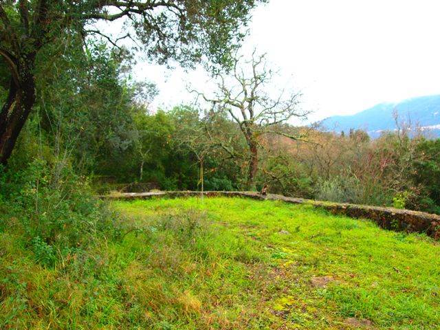 Listing photograph 4 of 14 of the land in Gastouri, published by Roula Rouva Real Estate.