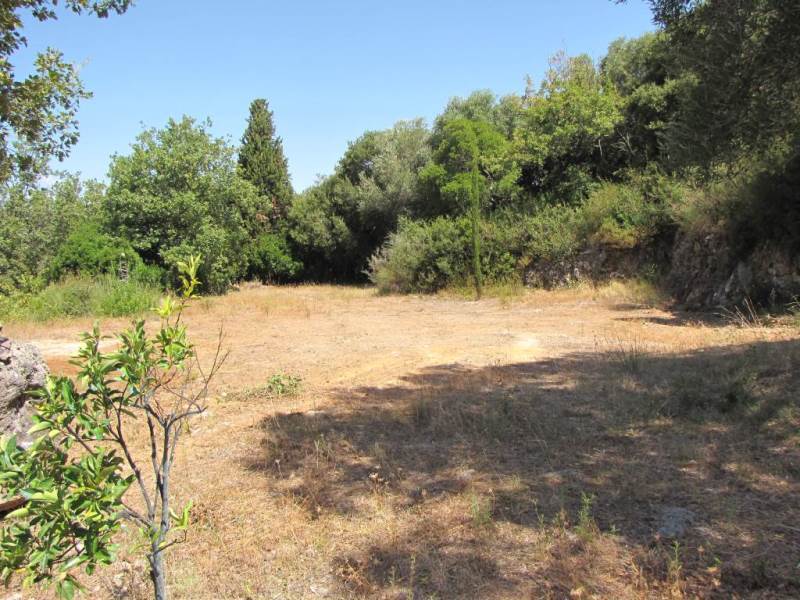 Listing photograph 14 of 14 of the land in Gastouri, published by Roula Rouva Real Estate.