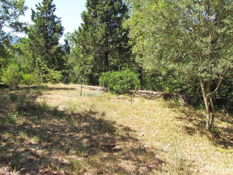 Listing photograph 2 of 14 of the land in Gastouri, published by Roula Rouva Real Estate.