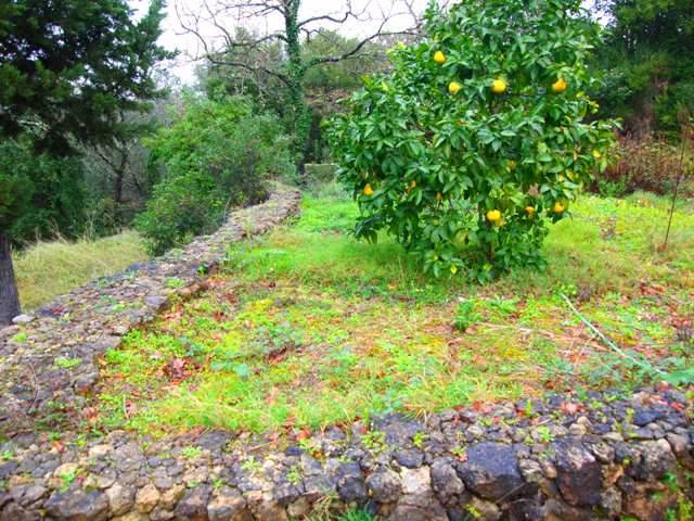 Listing photograph 6 of 14 of the land in Gastouri, published by Roula Rouva Real Estate.
