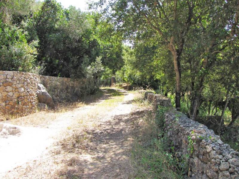 Listing photograph 5 of 14 of the land in Gastouri, published by Roula Rouva Real Estate.