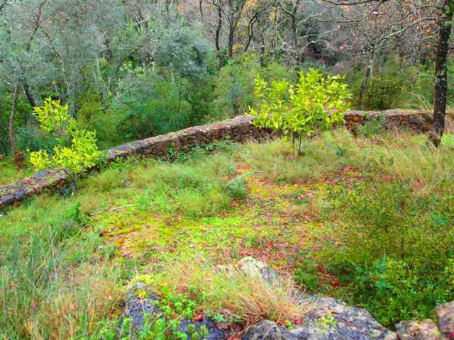 Listing photograph 9 of 14 of the land in Gastouri, published by Roula Rouva Real Estate.