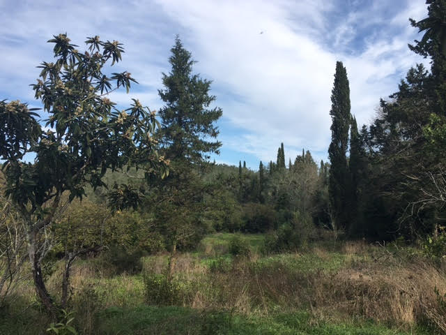 Listing photograph 2 of 6 of the land in Sinarades, published by Roula Rouva Real Estate.