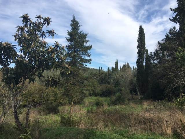 Listing photograph 4 of 6 of the land in Sinarades, published by Roula Rouva Real Estate.