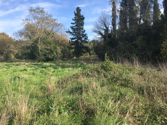 Listing photograph 5 of 6 of the land in Sinarades, published by Roula Rouva Real Estate.