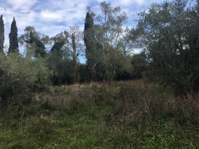 Listing photograph 3 of 6 of the land in Sinarades, published by Roula Rouva Real Estate.