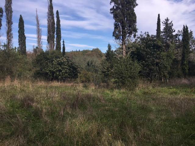 Listing photograph 6 of 6 of the land in Sinarades, published by Roula Rouva Real Estate.