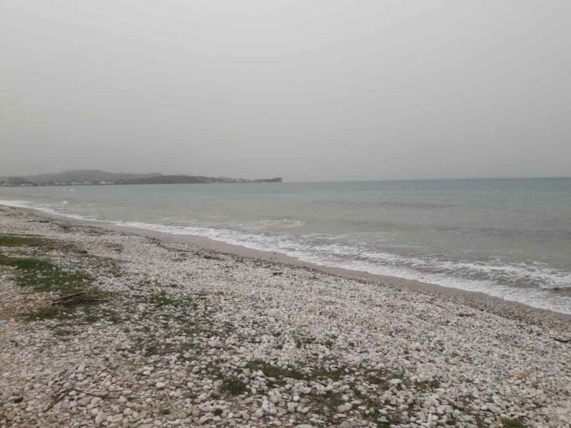 Listing photograph 4 of 5 of the land in Acharavi, published by Roula Rouva Real Estate.